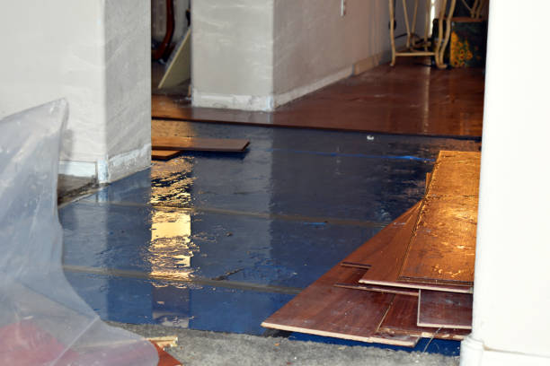 Professional Basement Flooding technician working in Hankamer, TX